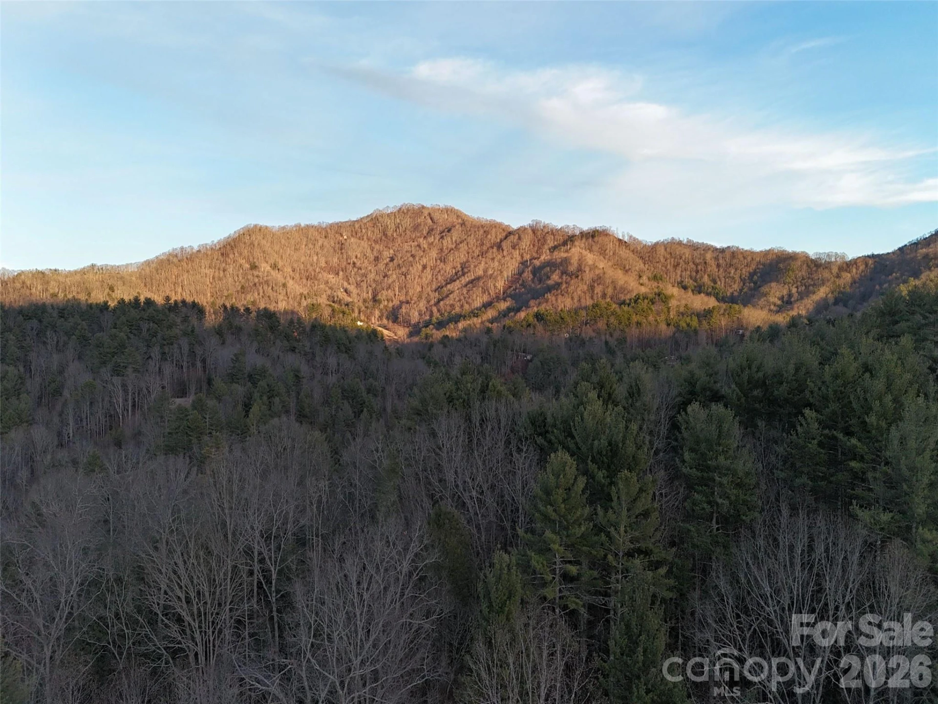 99999 Dream Valley Drive - Photo 10