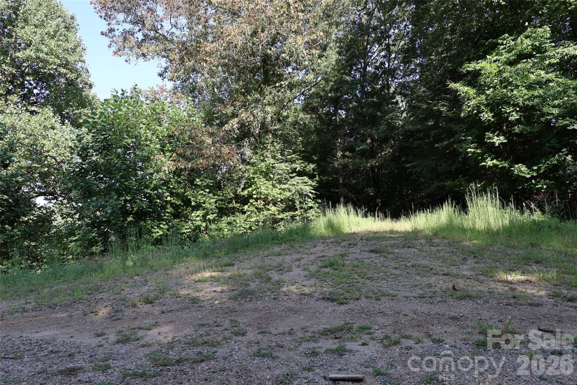 99999 Dream Valley Drive - Photo 12