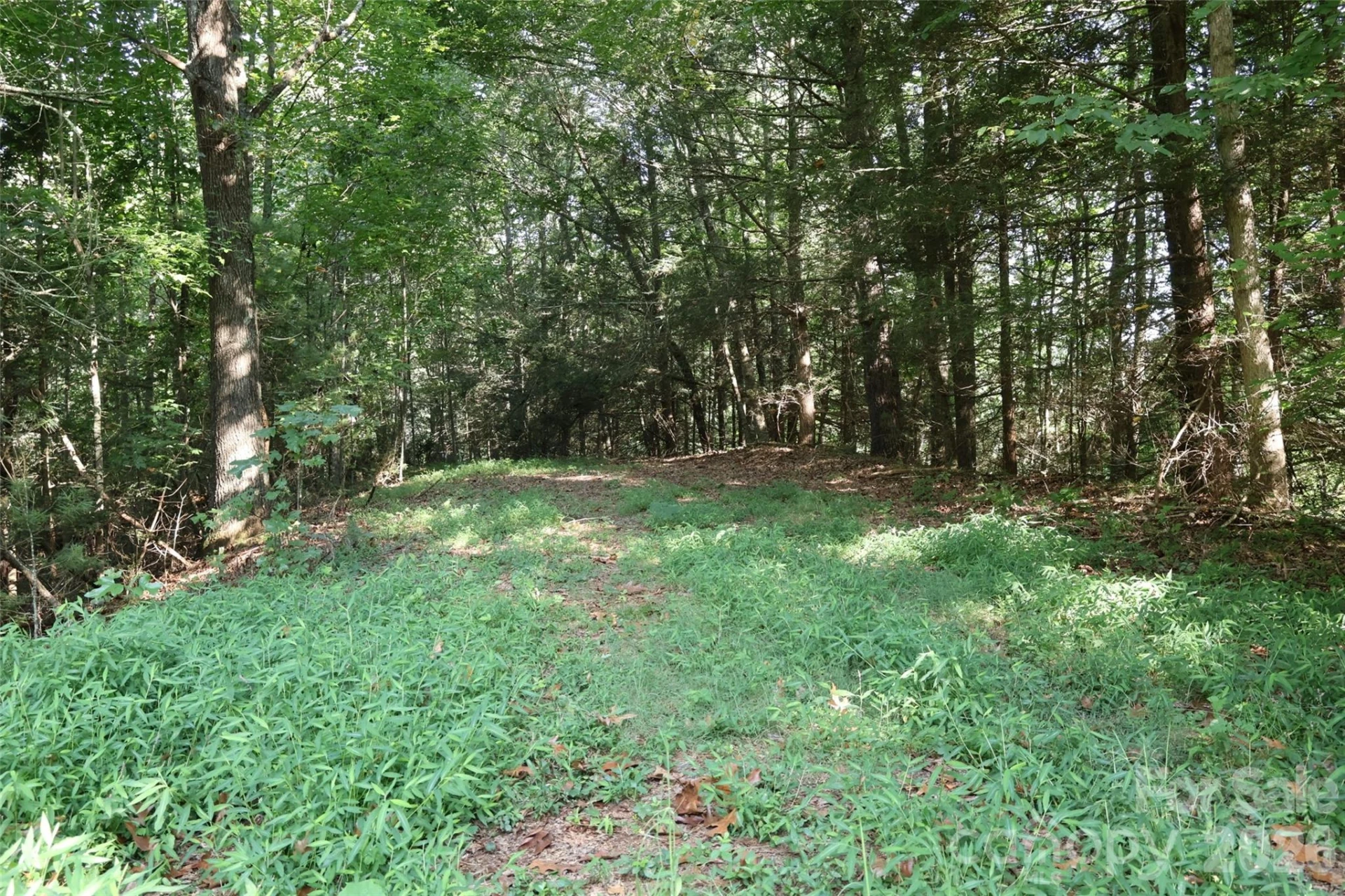99999 Dream Valley Drive - Photo 13