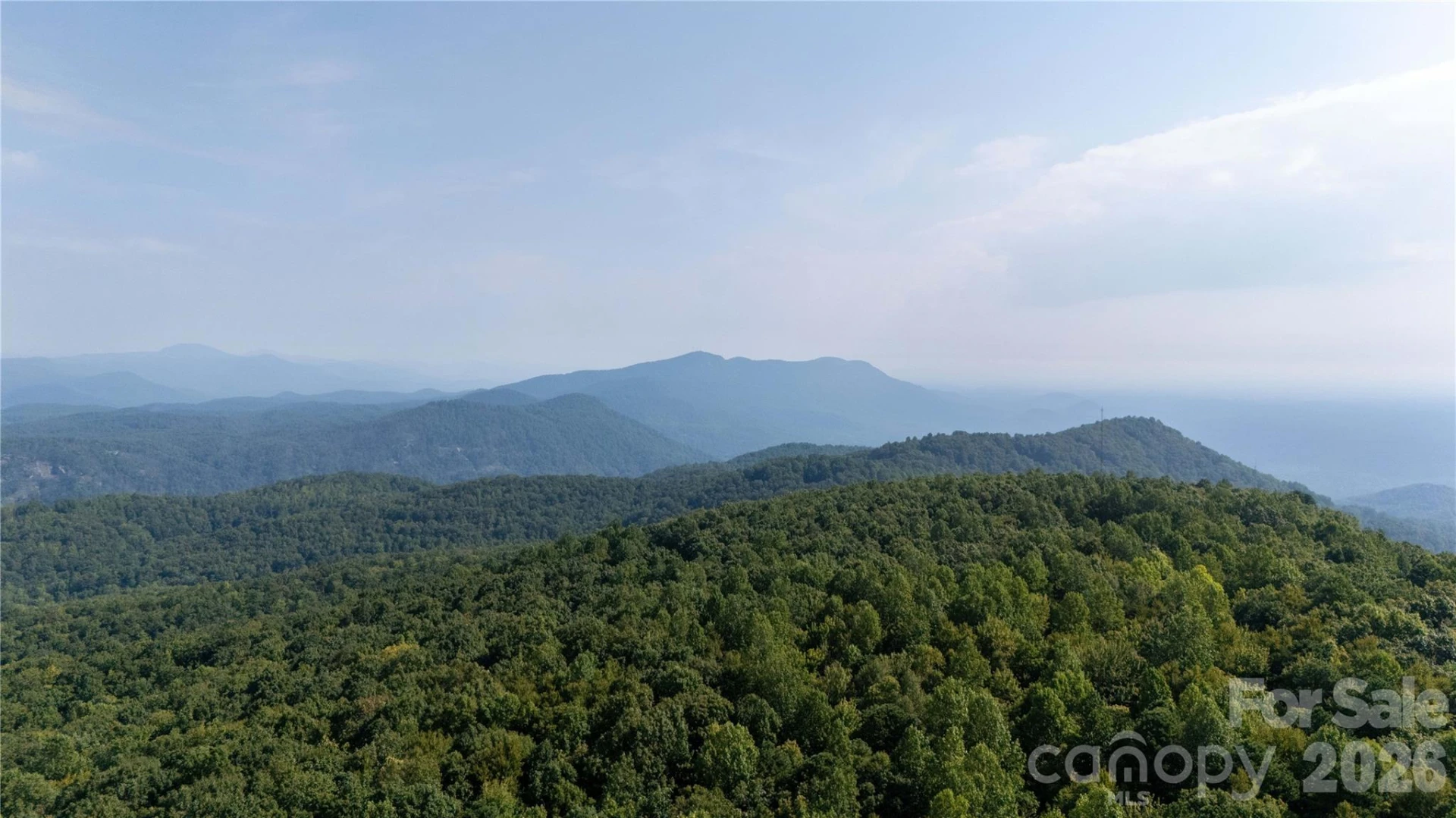 Lot 1 Hogback Mountain Road #1 - Photo 2