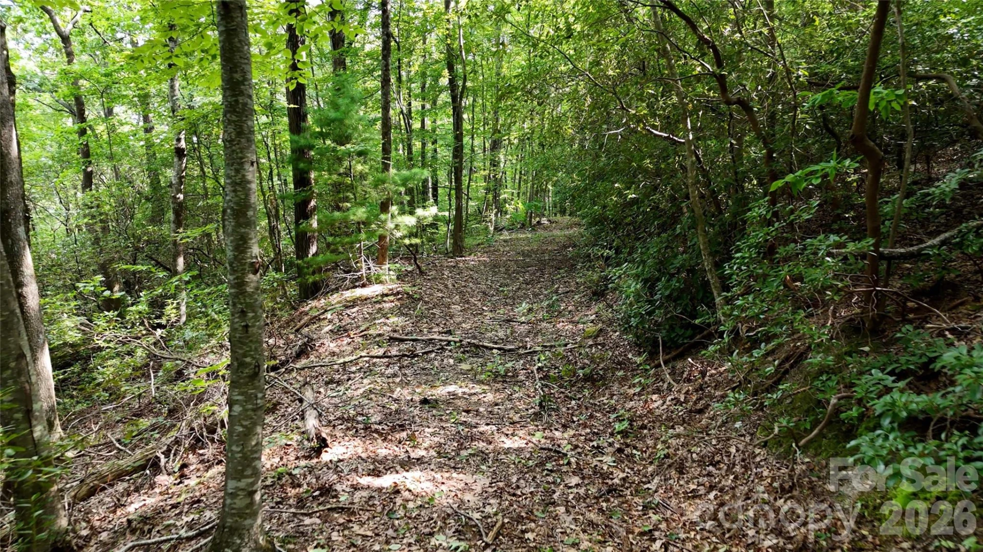 Lot 1 Hogback Mountain Road #1 - Photo 8