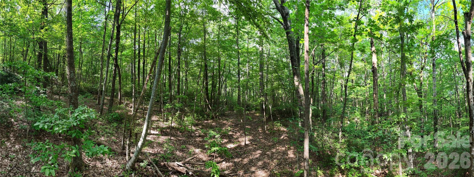Lot 1 Hogback Mountain Road #1 - Photo 9