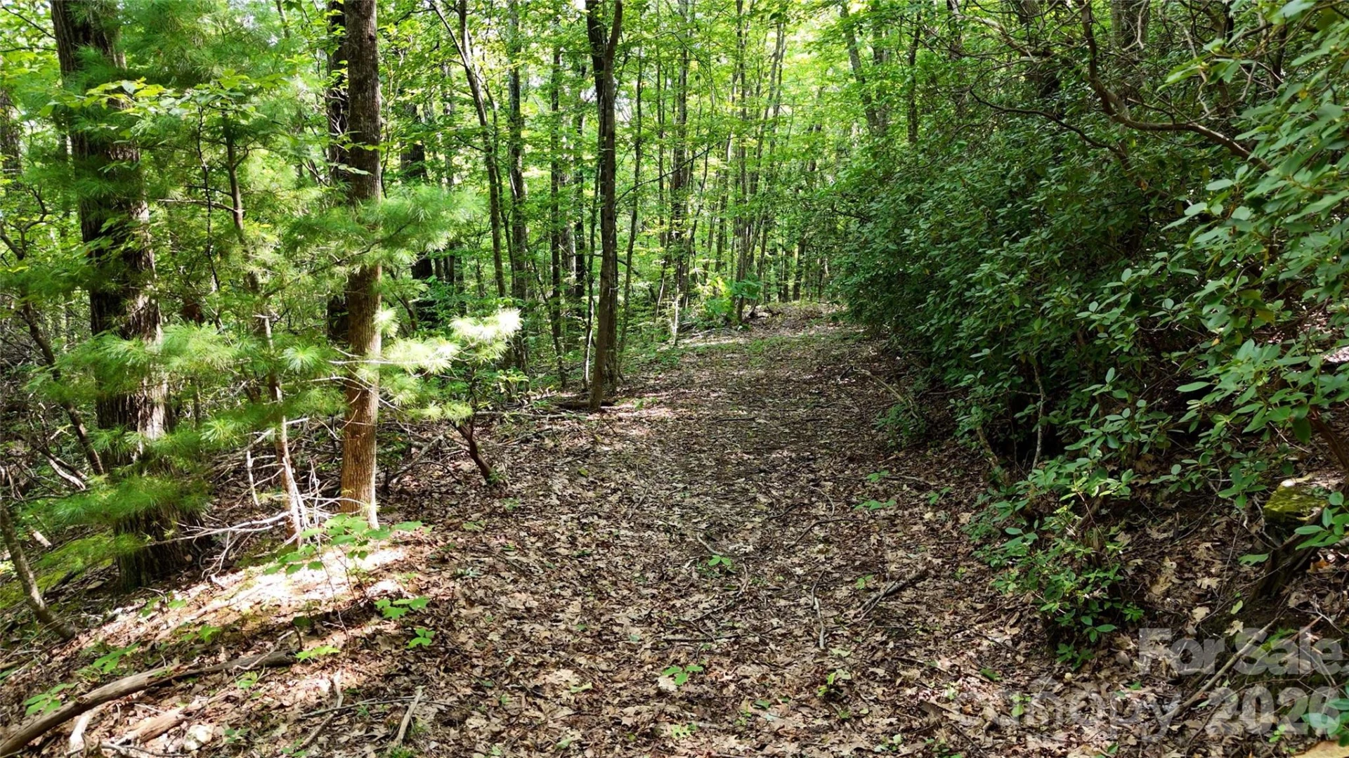Lot 1 Hogback Mountain Road #1 - Photo 11