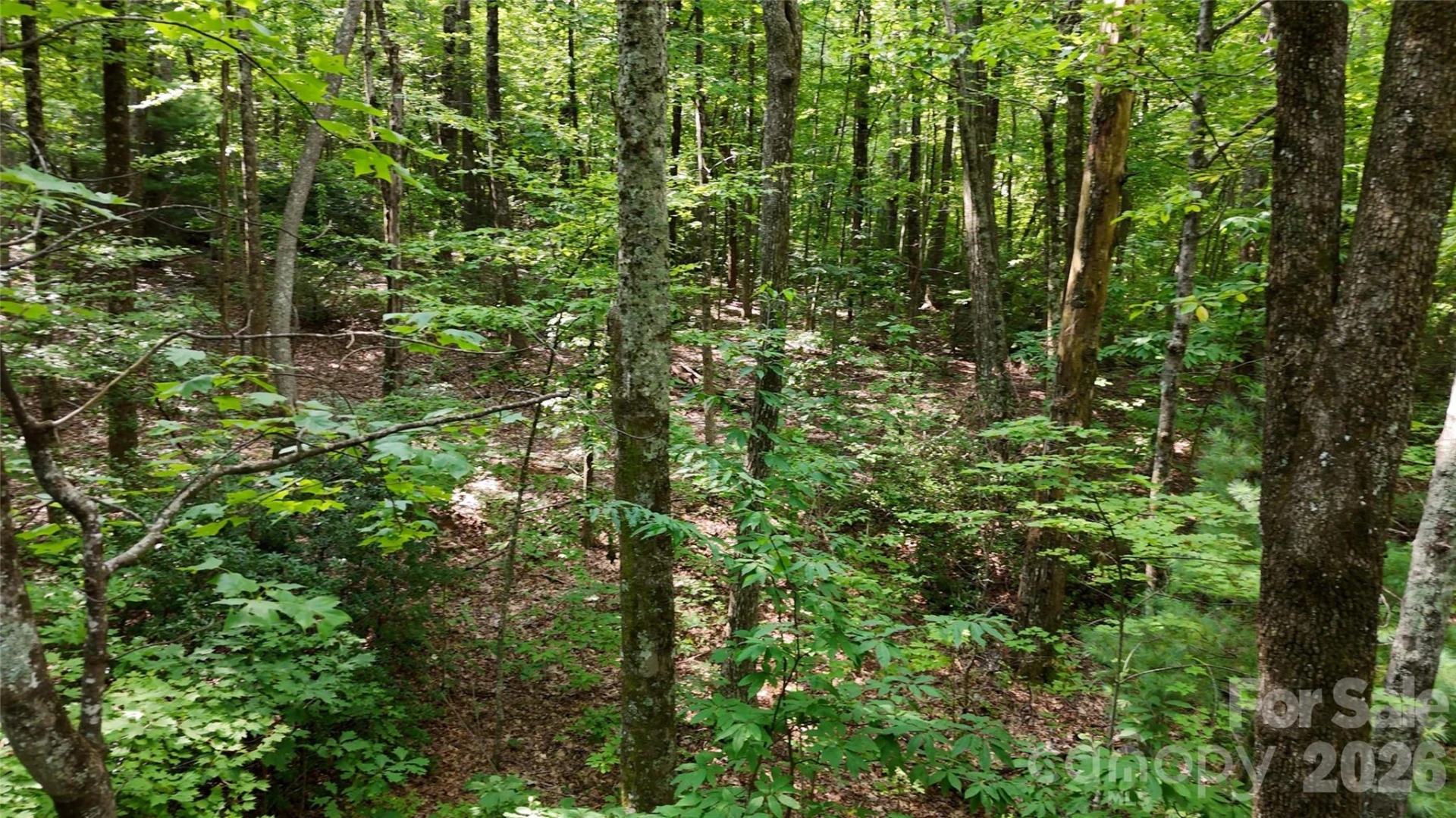 Lot 1 Hogback Mountain Road #1 - Photo 12