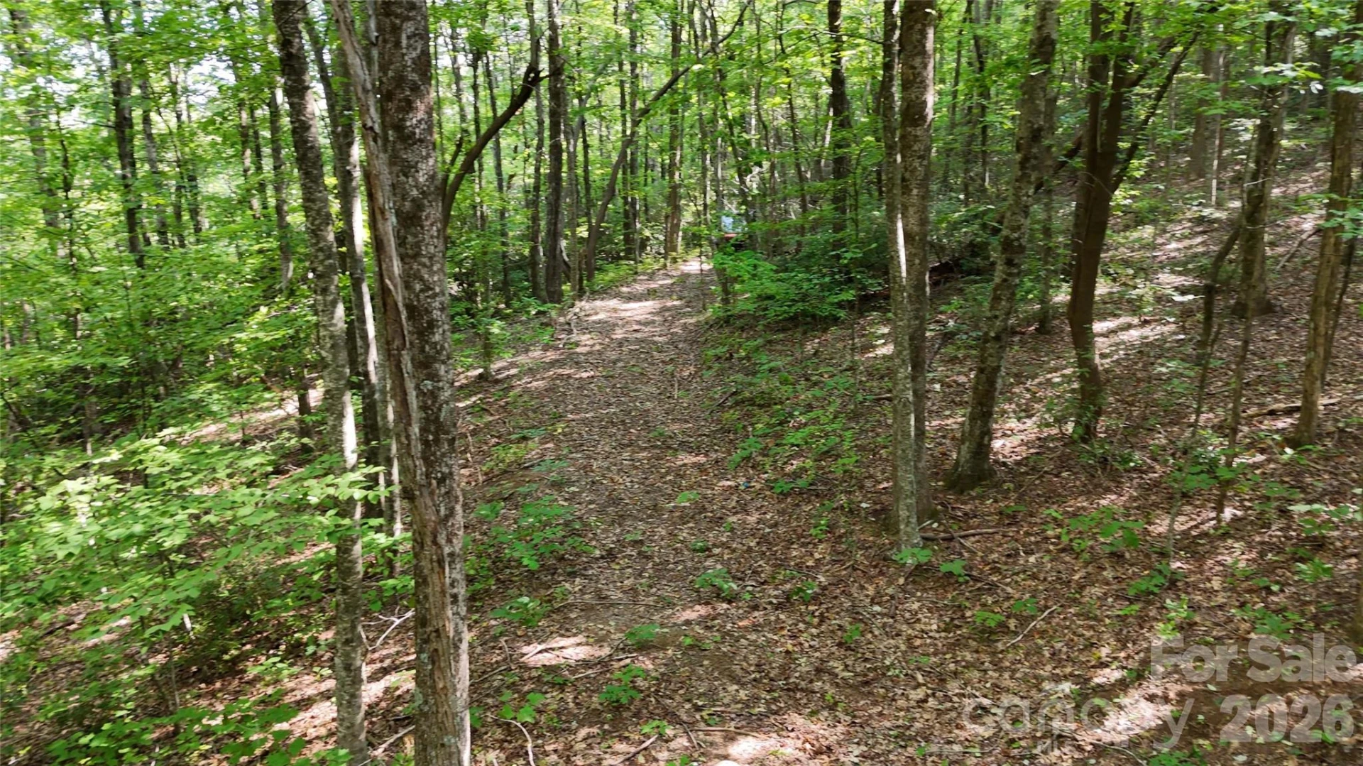 Lot 1 Hogback Mountain Road #1 - Photo 13