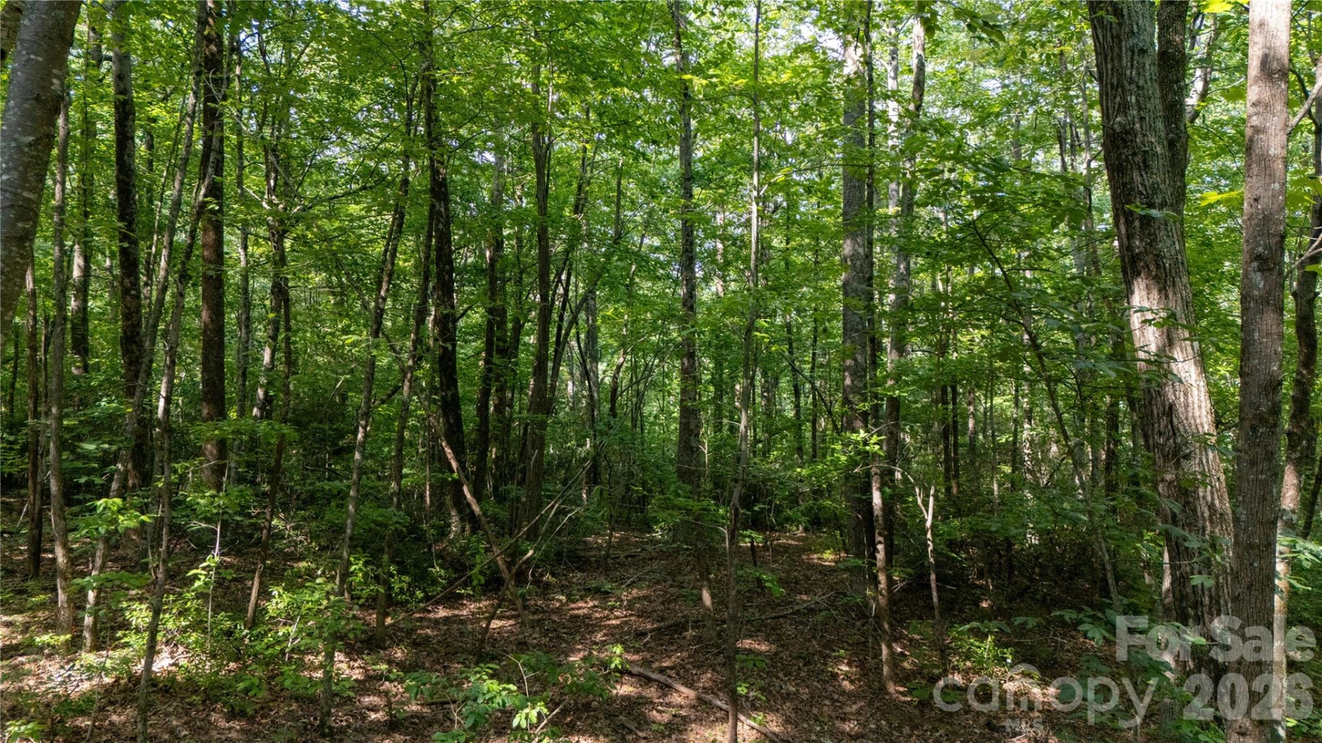 Lot 1 Hogback Mountain Road #1 - Photo 14