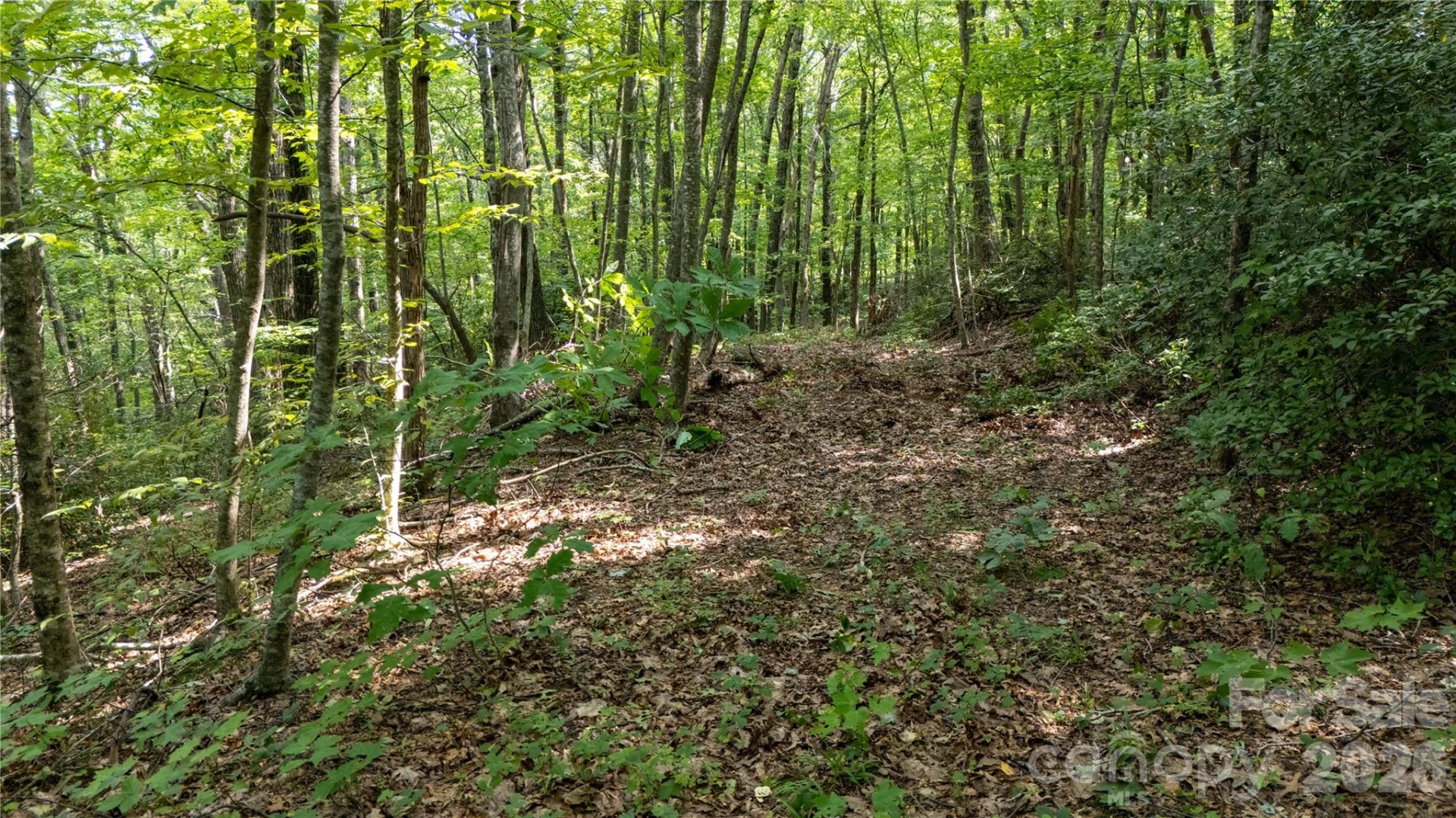 Lot 1 Hogback Mountain Road #1 - Photo 15