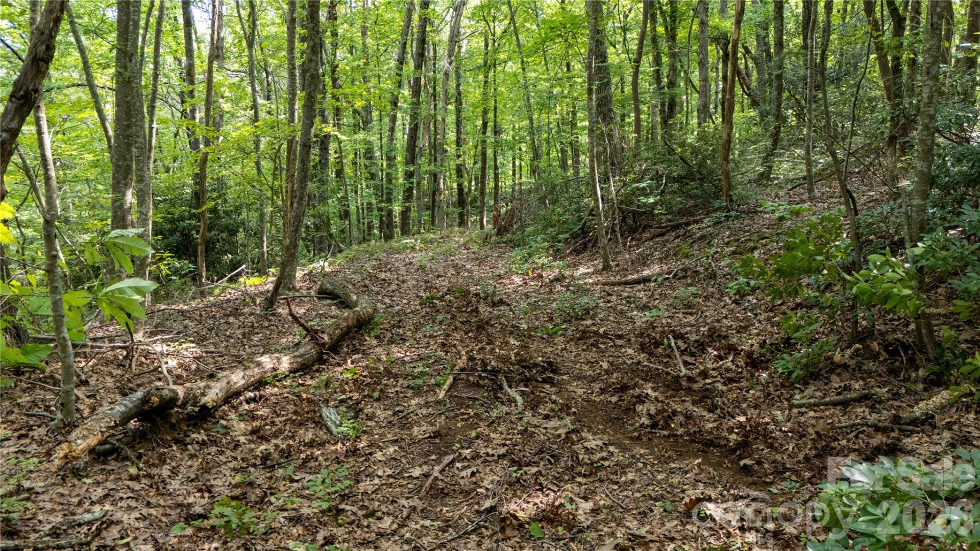 Lot 1 Hogback Mountain Road #1 - Photo 16