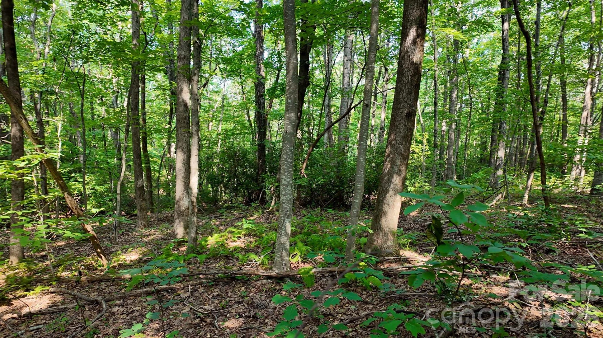 Lot 1 Hogback Mountain Road #1 - Photo 17