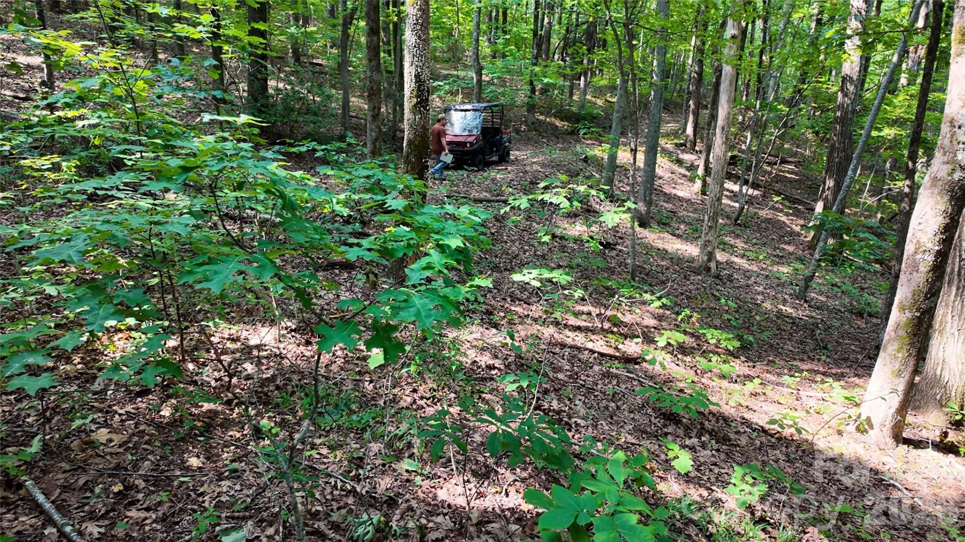 Lot 1 Hogback Mountain Road #1 - Photo 18