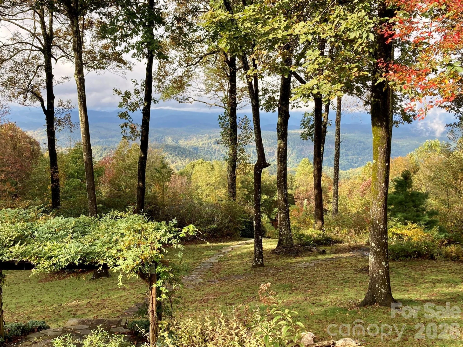 Lot 1 Hogback Mountain Road #1 - Photo 19
