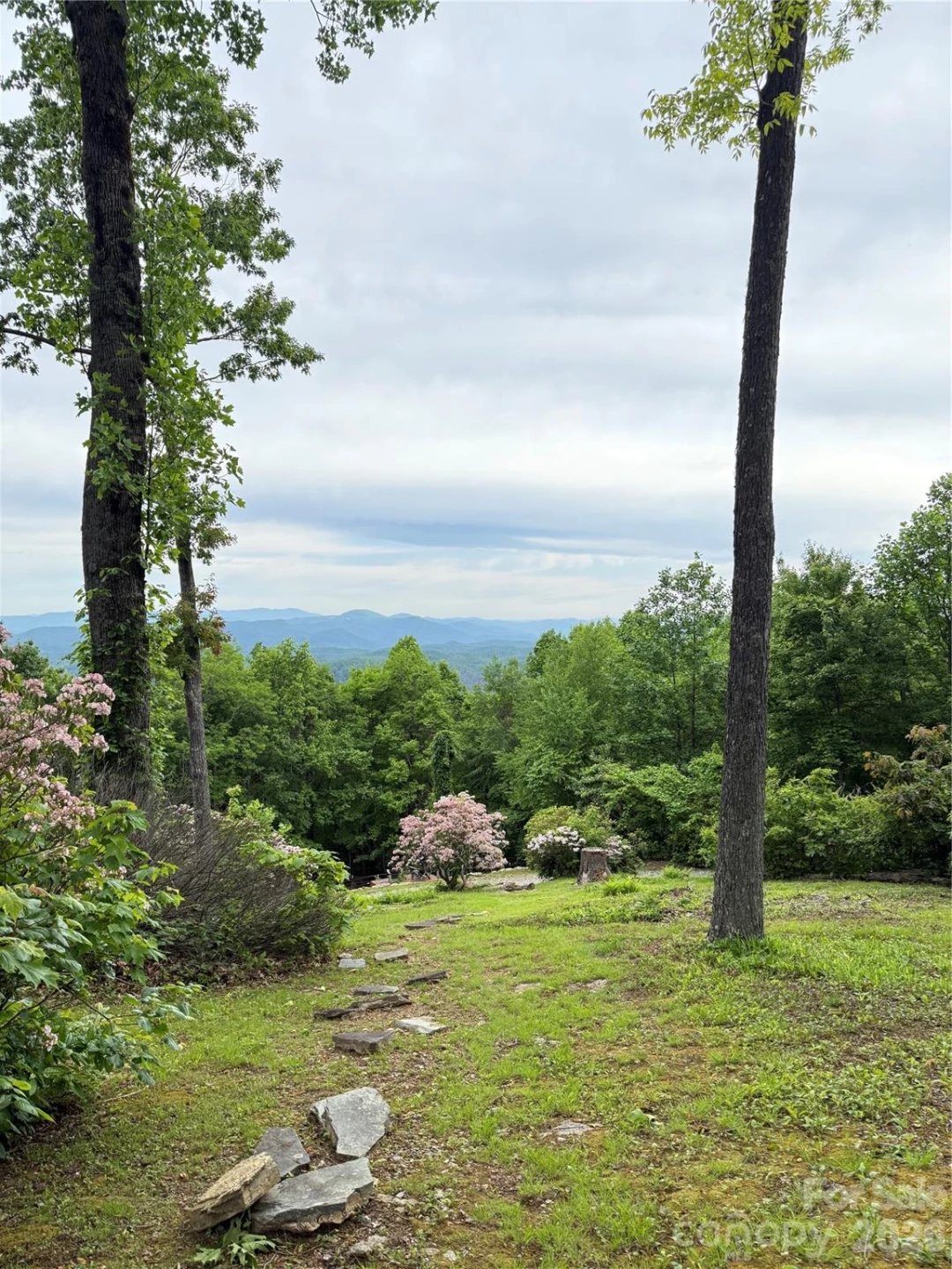 Lot 1 Hogback Mountain Road #1 - Photo 20