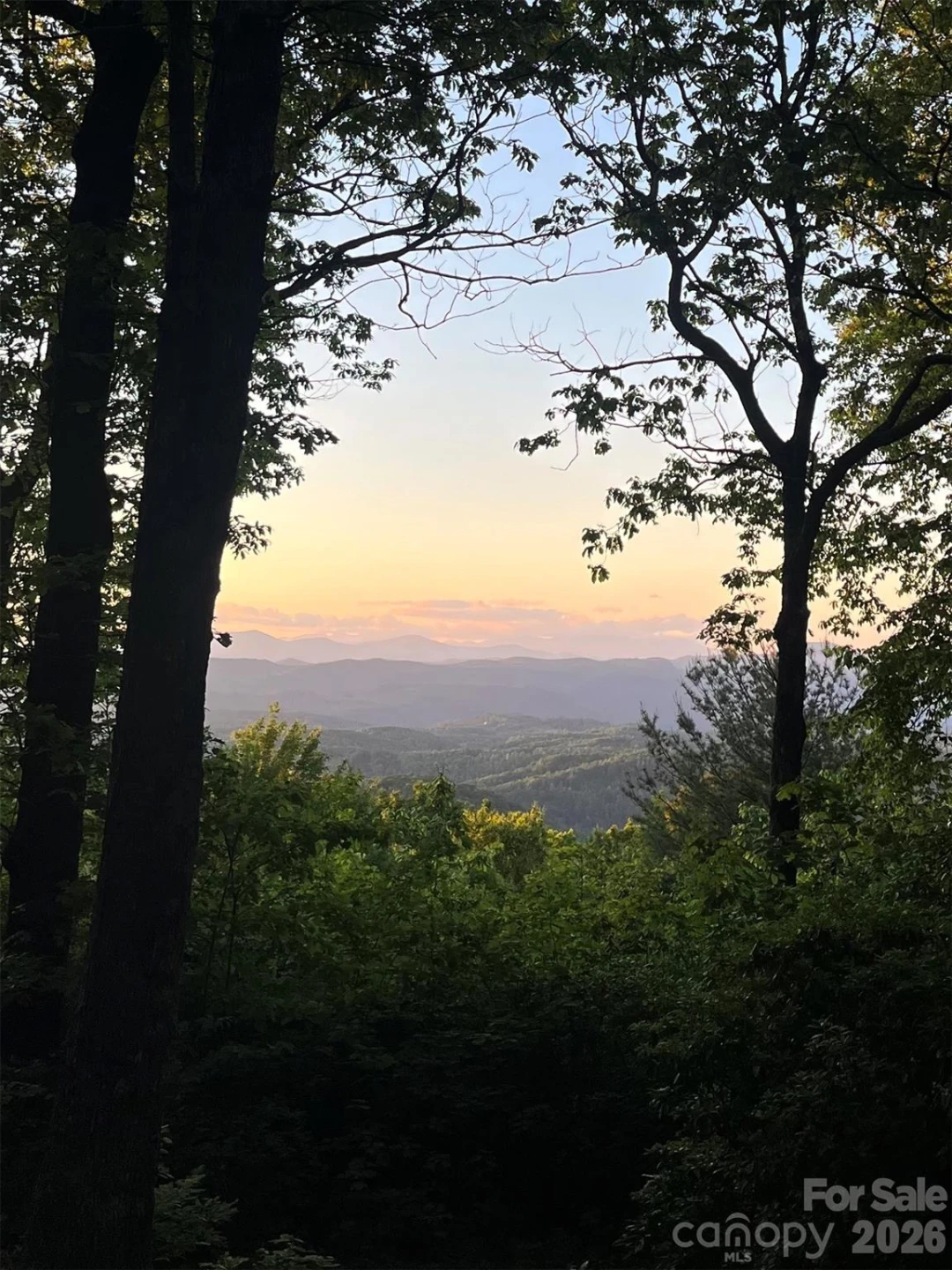 Lot 1 Hogback Mountain Road #1 - Photo 21