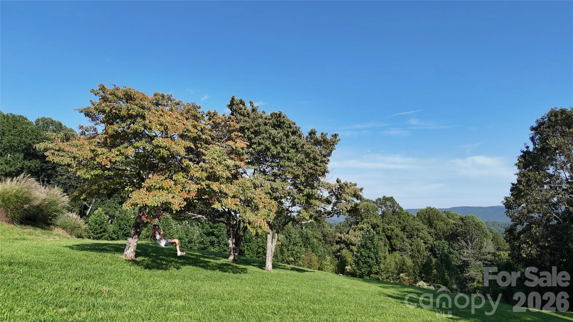 93 Orchard Hill - Photo 4