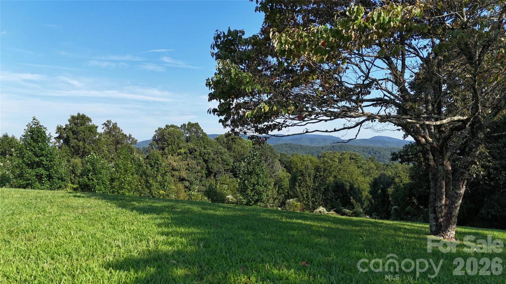 0 Orchard Hill - Photo 3