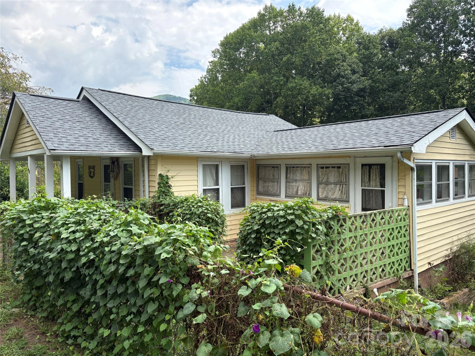 408 McCoy Cove Road - Photo 2