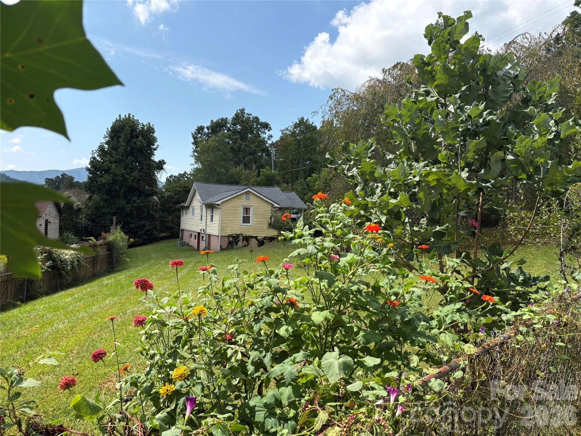 408 McCoy Cove Road - Photo 7