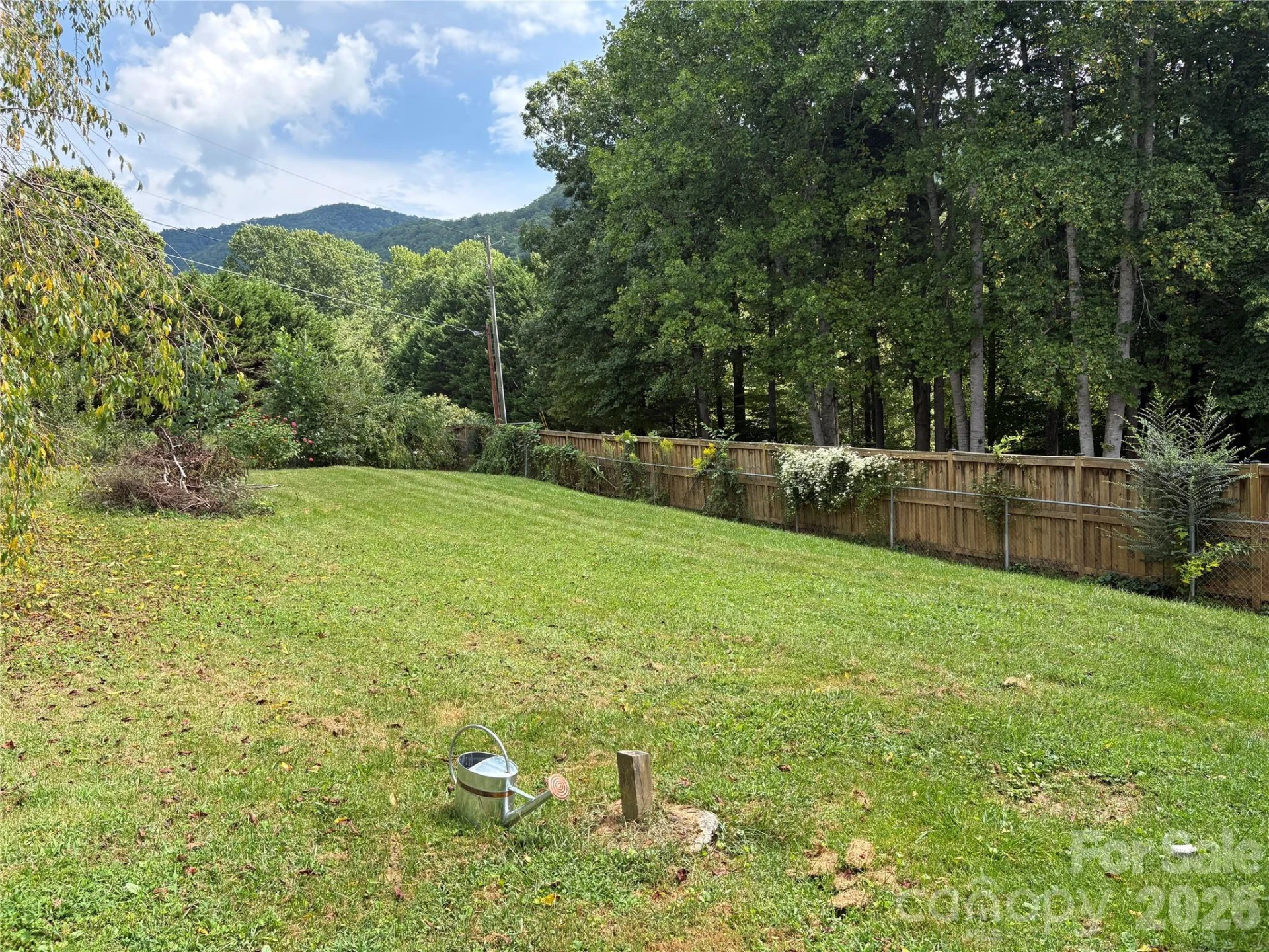 408 McCoy Cove Road - Photo 9