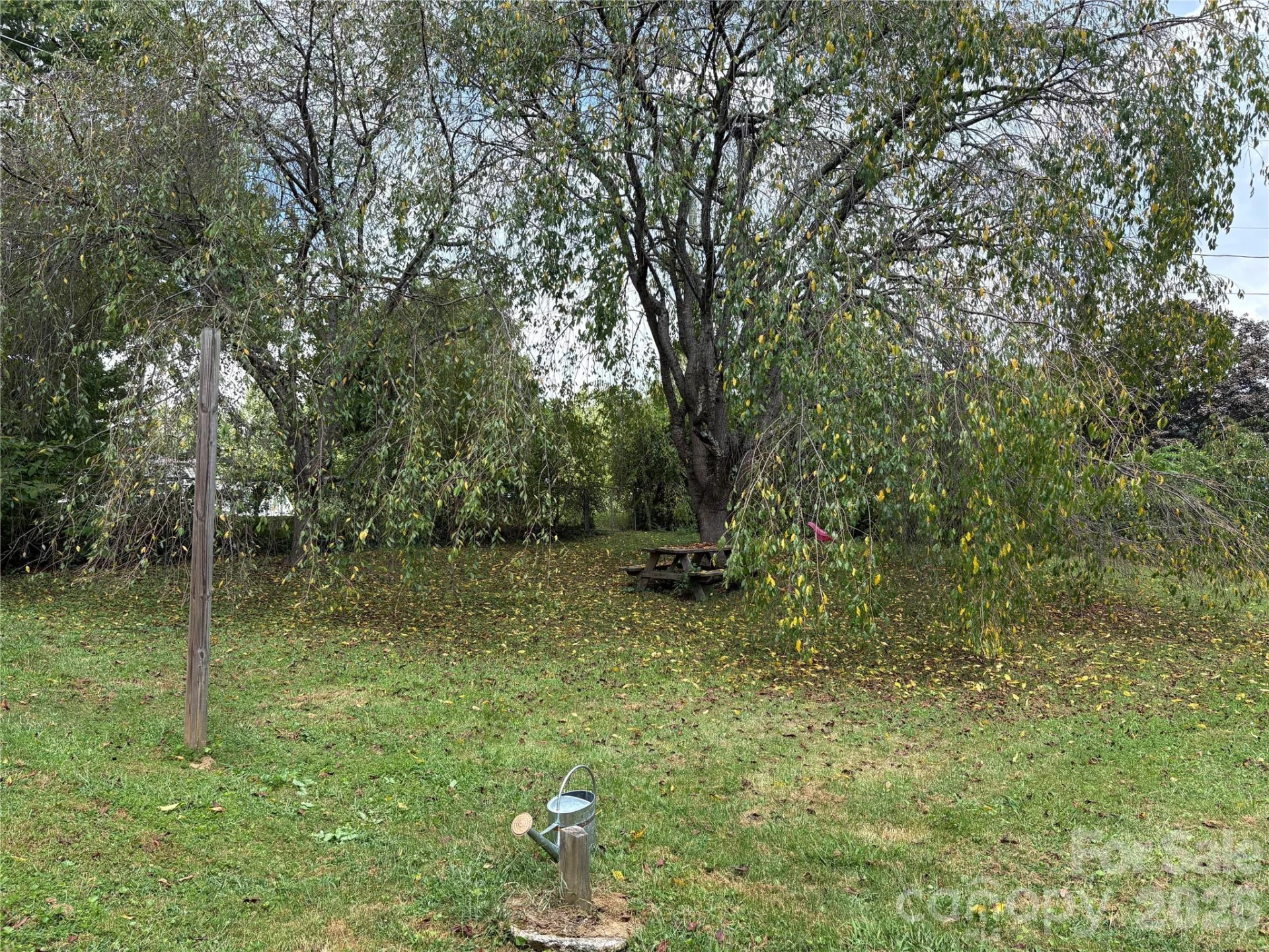 408 McCoy Cove Road - Photo 11