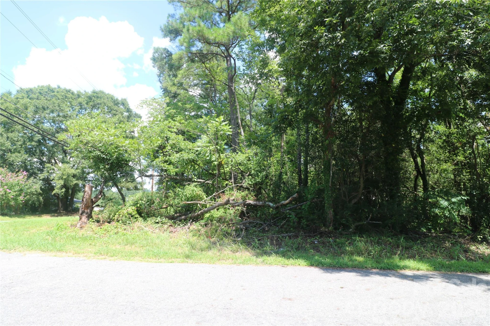 0 Springfield Drive