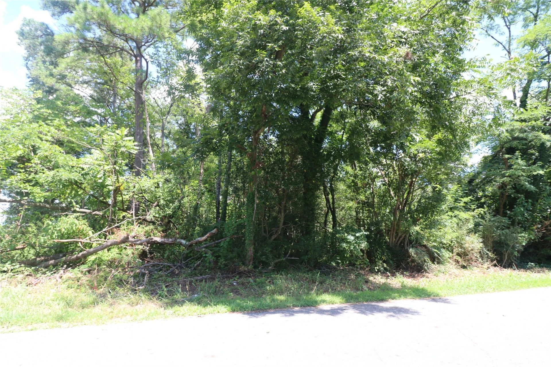 0 Springfield Drive - Photo 2