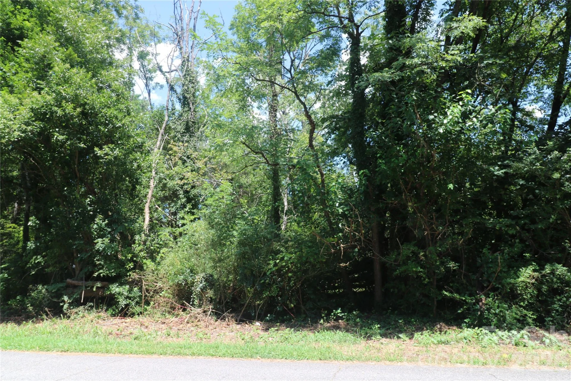 0 Springfield Drive - Photo 3