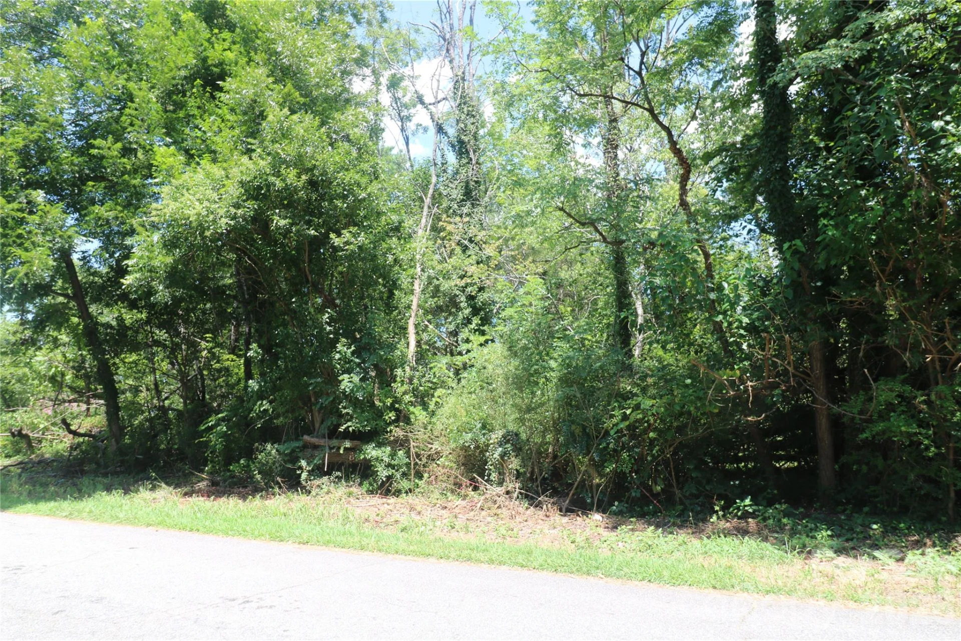 0 Springfield Drive - Photo 4