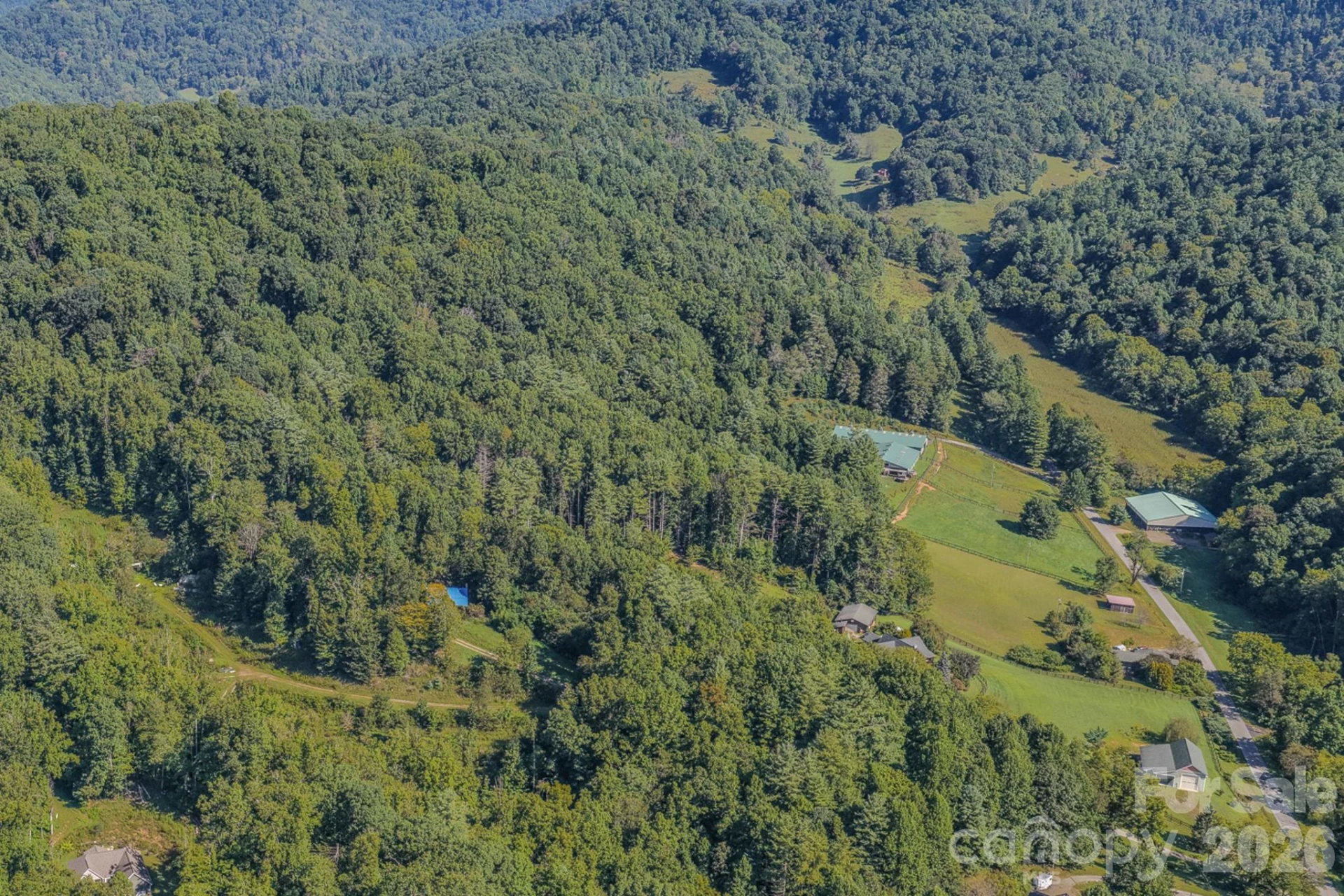 99999 Crooked Creek Road - Photo 8