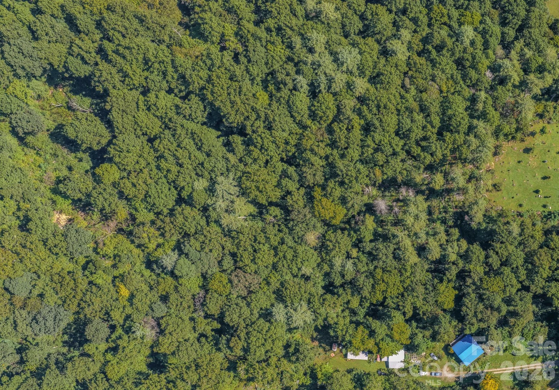 99999 Crooked Creek Road - Photo 19