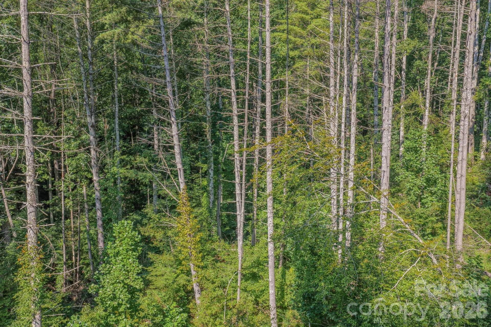 99999 Crooked Creek Road - Photo 20