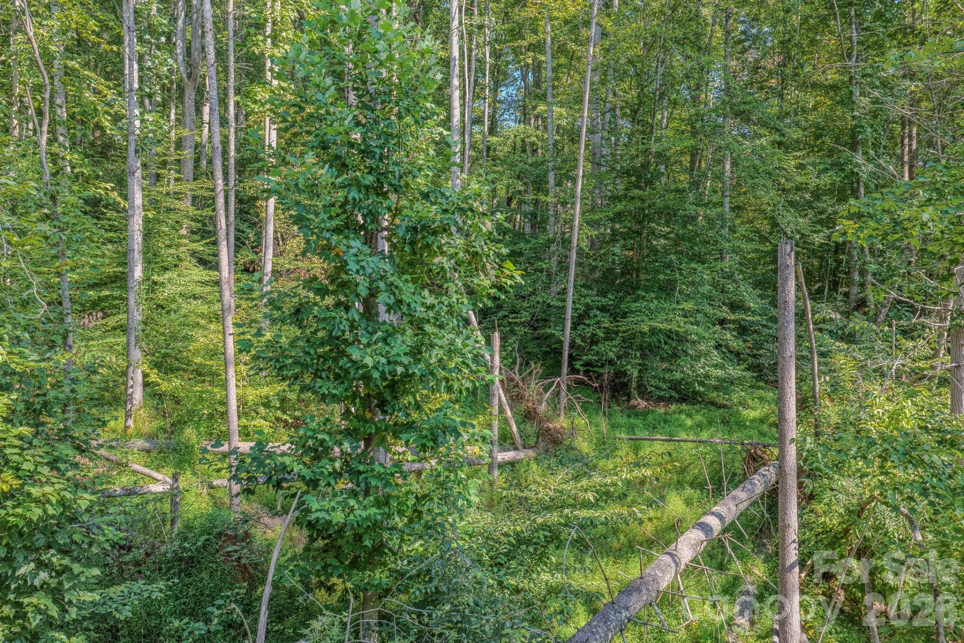 99999 Crooked Creek Road - Photo 21
