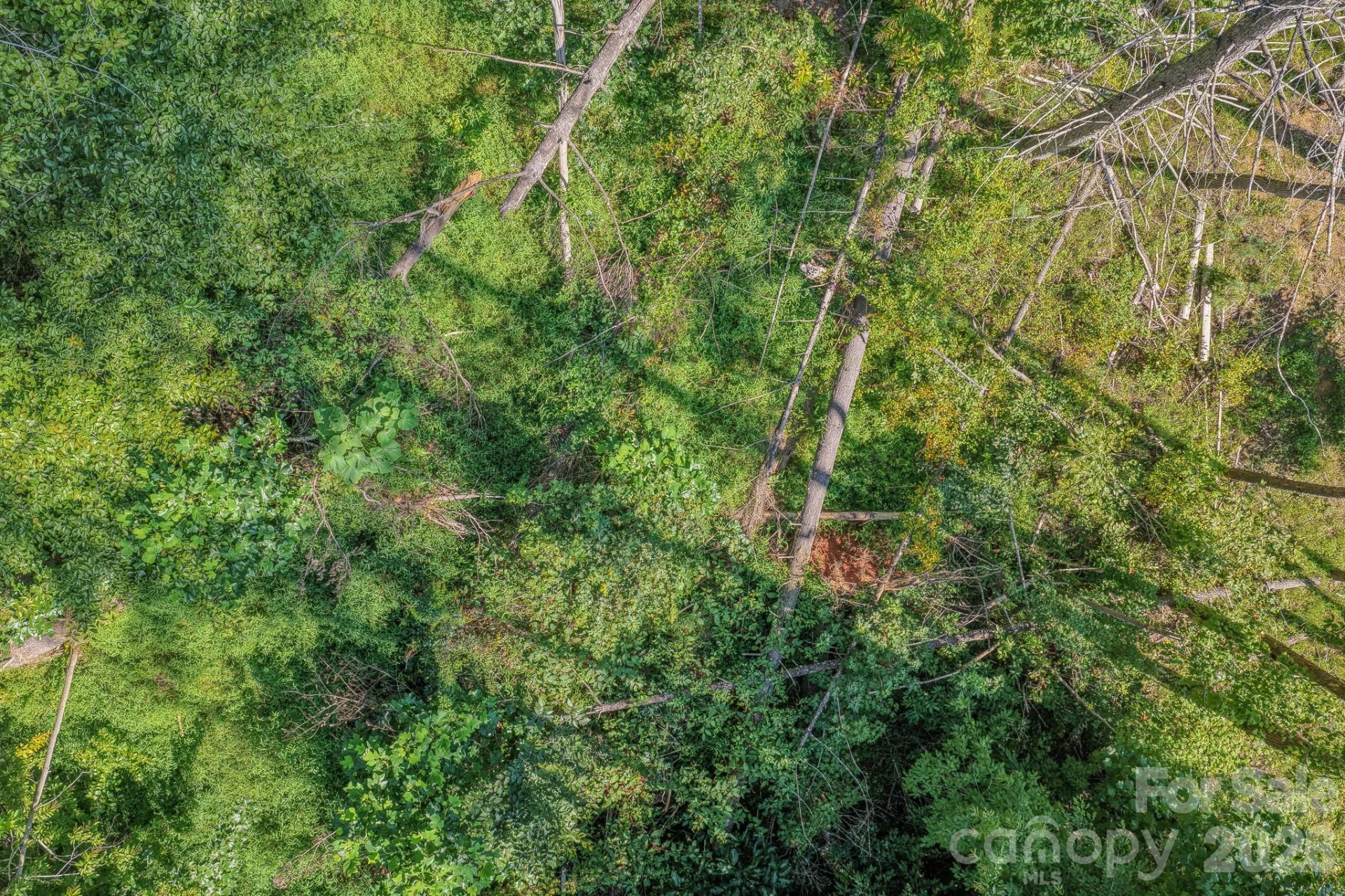 99999 Crooked Creek Road - Photo 22