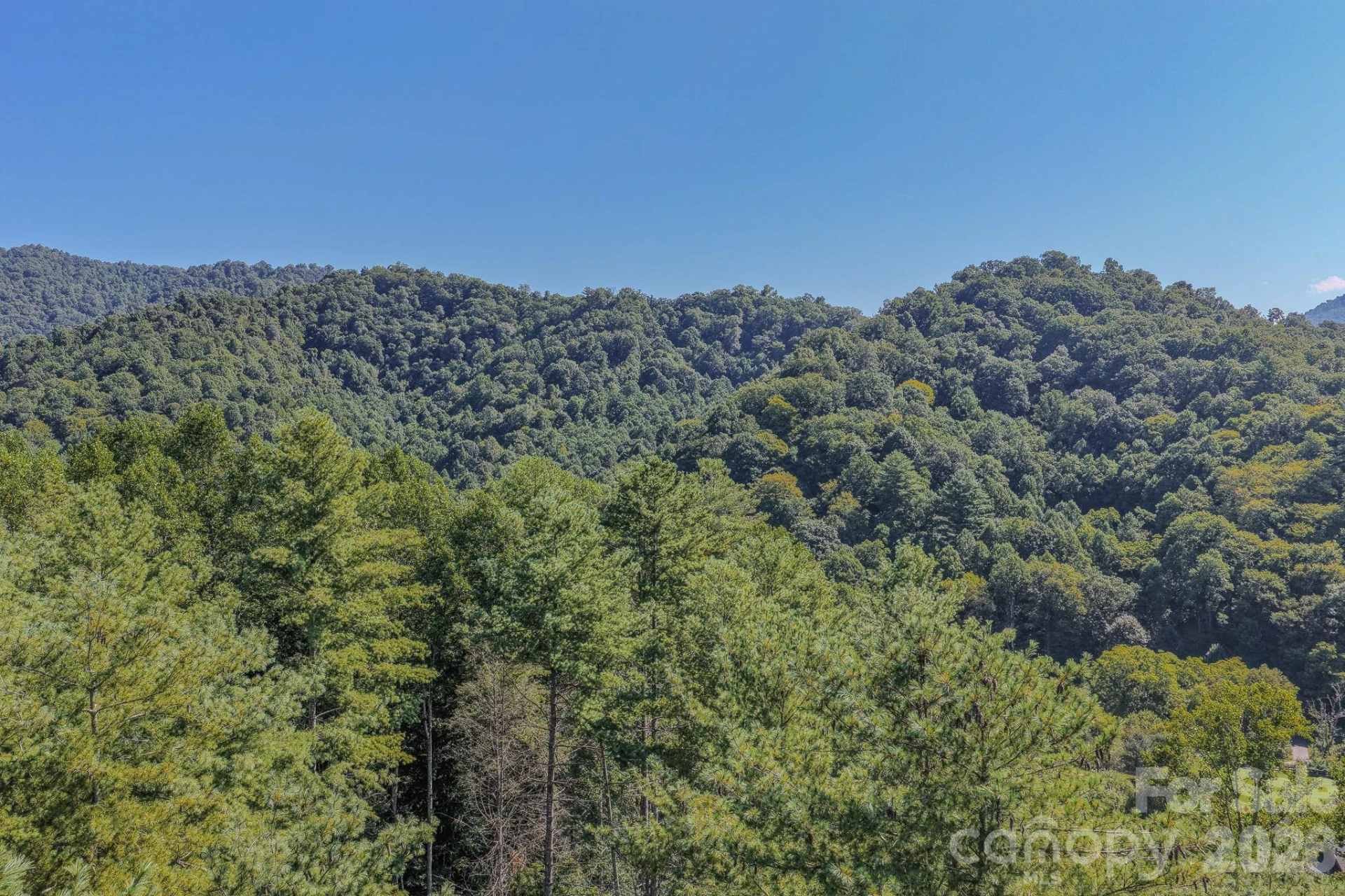99999 Crooked Creek Road - Photo 24