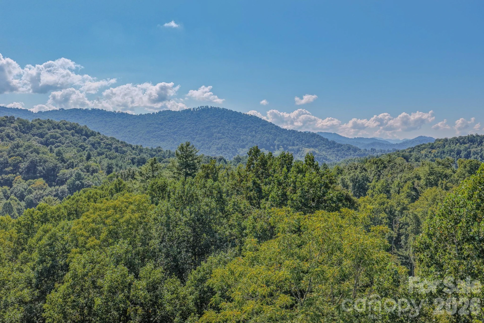 99999 Crooked Creek Road - Photo 25