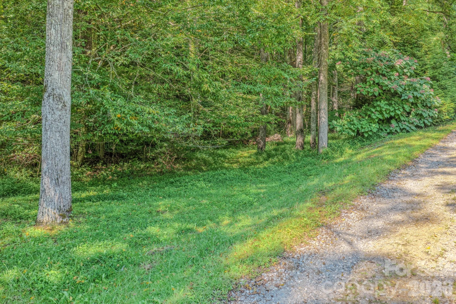 99999 Crooked Creek Road - Photo 27