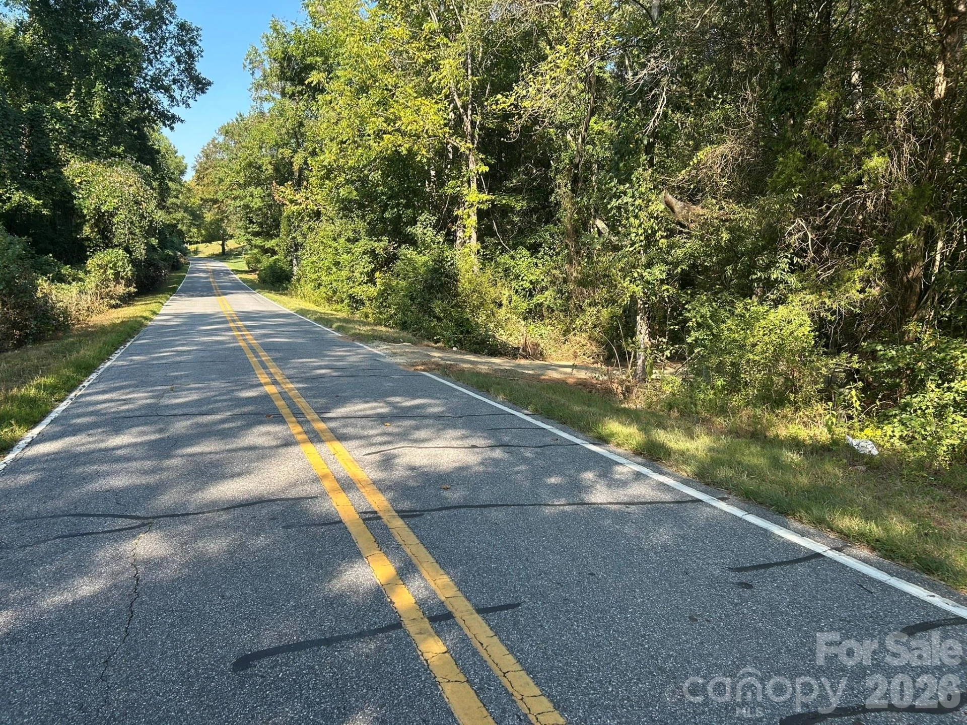 00 Island Ford Road - Photo 2