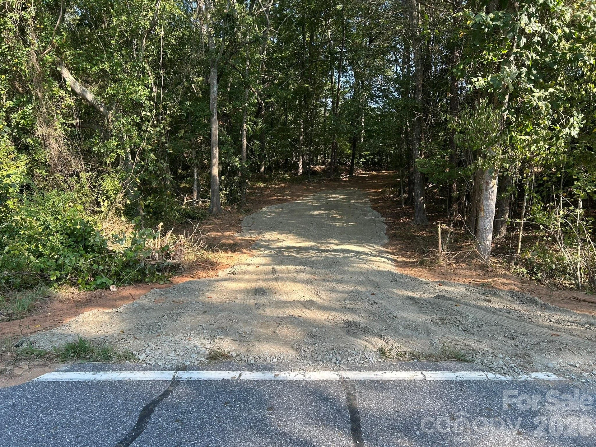 00 Island Ford Road - Photo 3