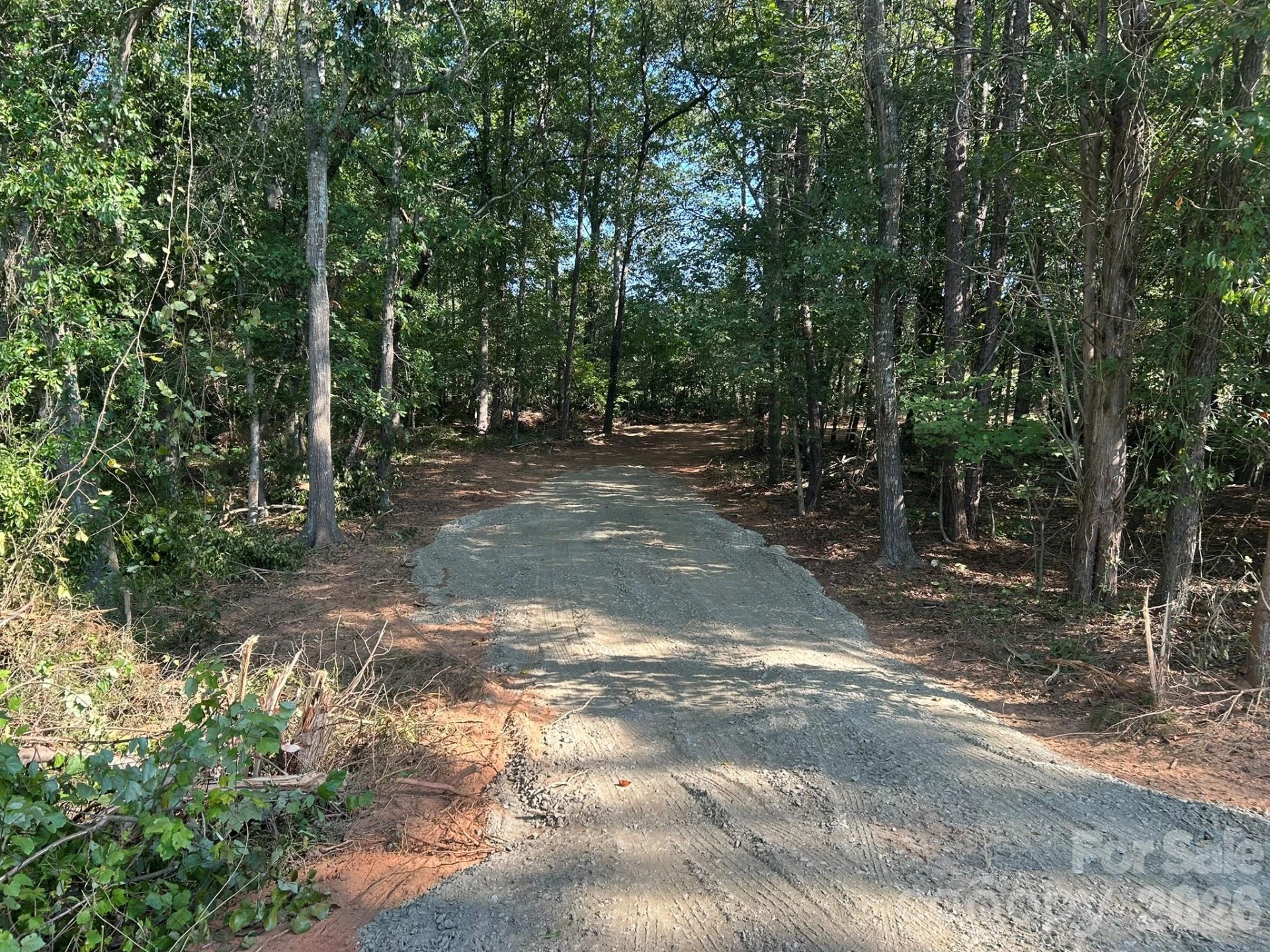 00 Island Ford Road - Photo 4
