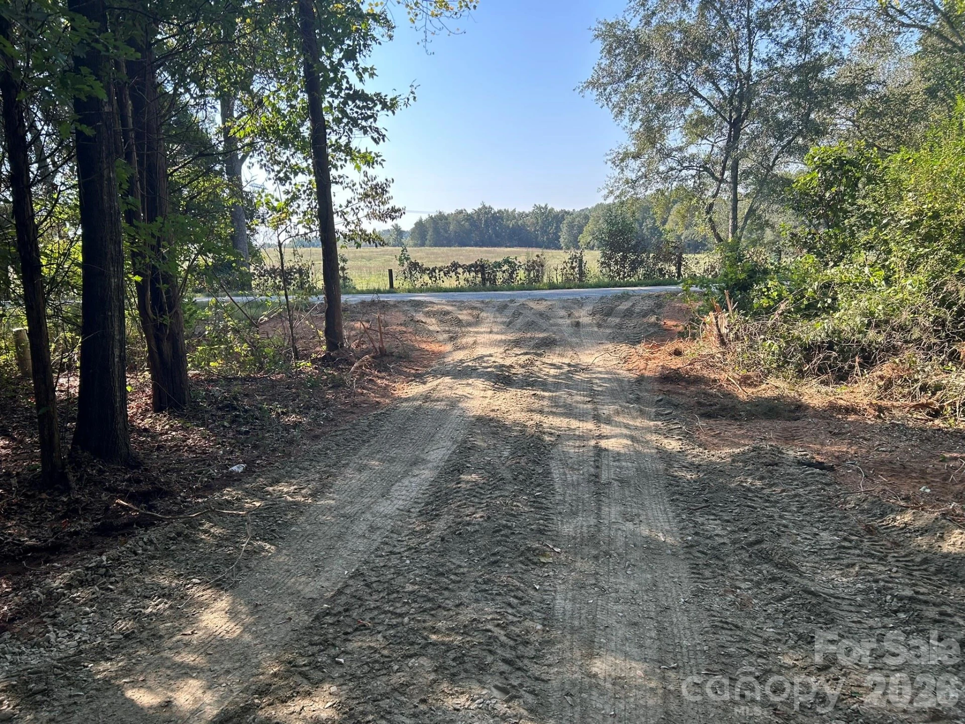 00 Island Ford Road - Photo 5