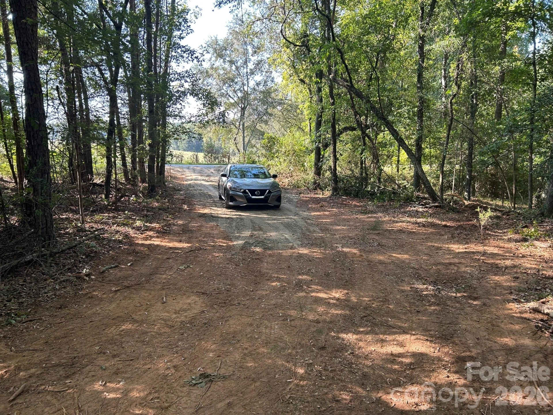 00 Island Ford Road - Photo 6