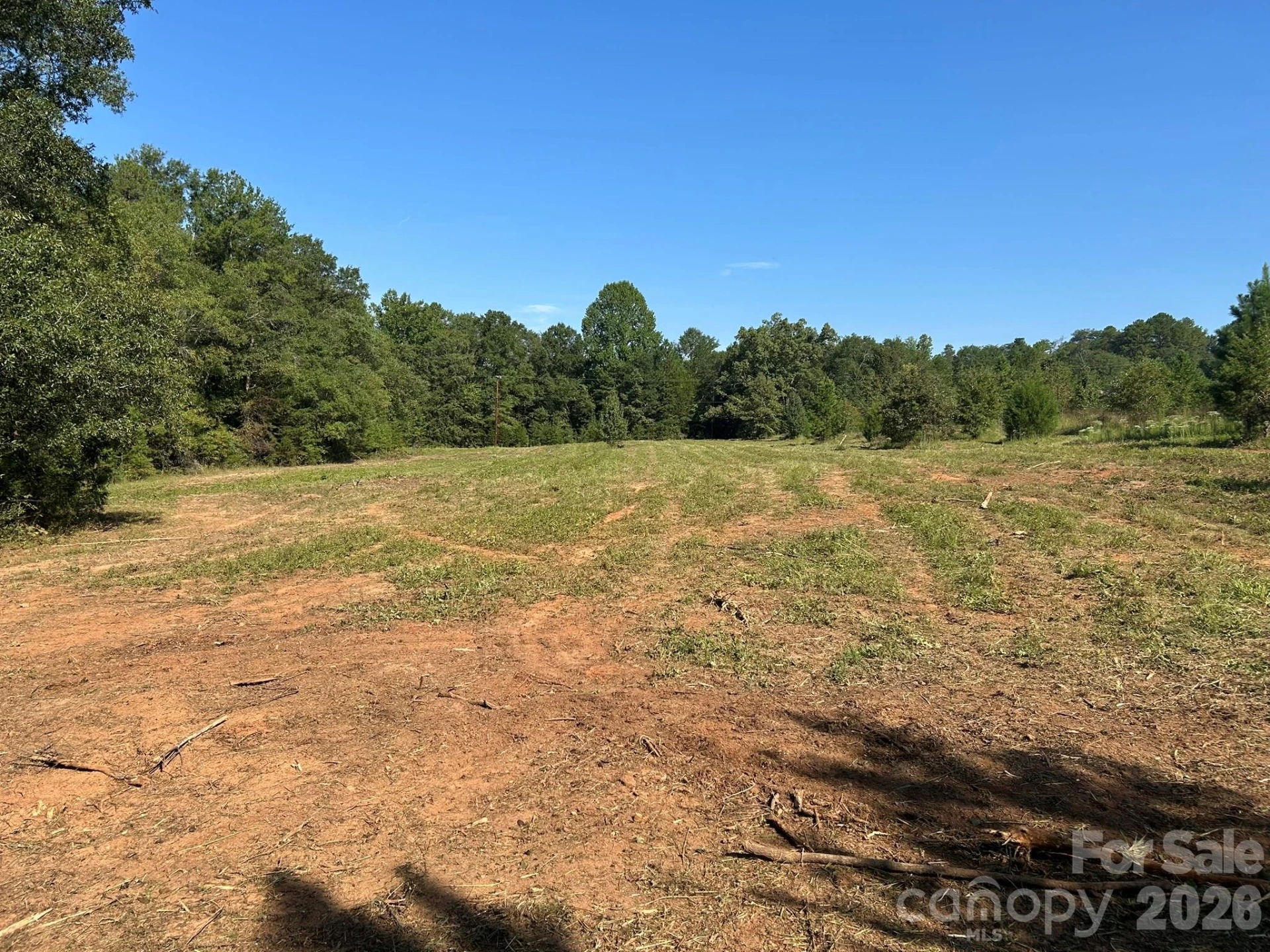 00 Island Ford Road - Photo 8