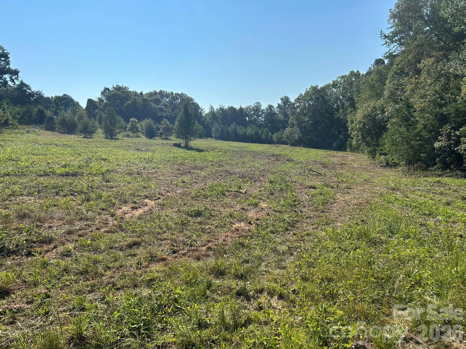 00 Island Ford Road - Photo 10