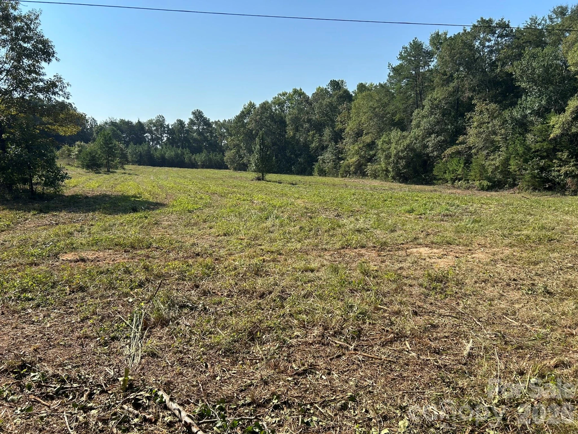 00 Island Ford Road - Photo 11