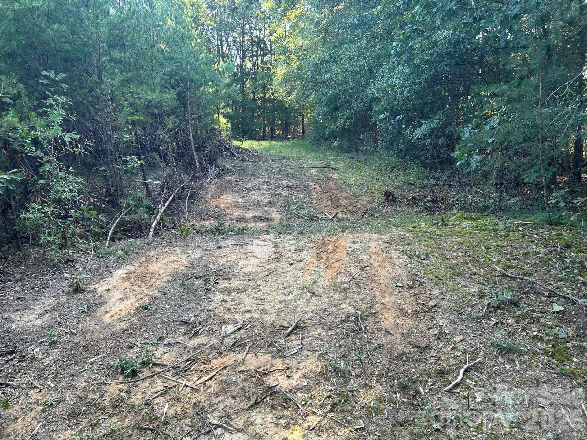 00 Island Ford Road - Photo 12