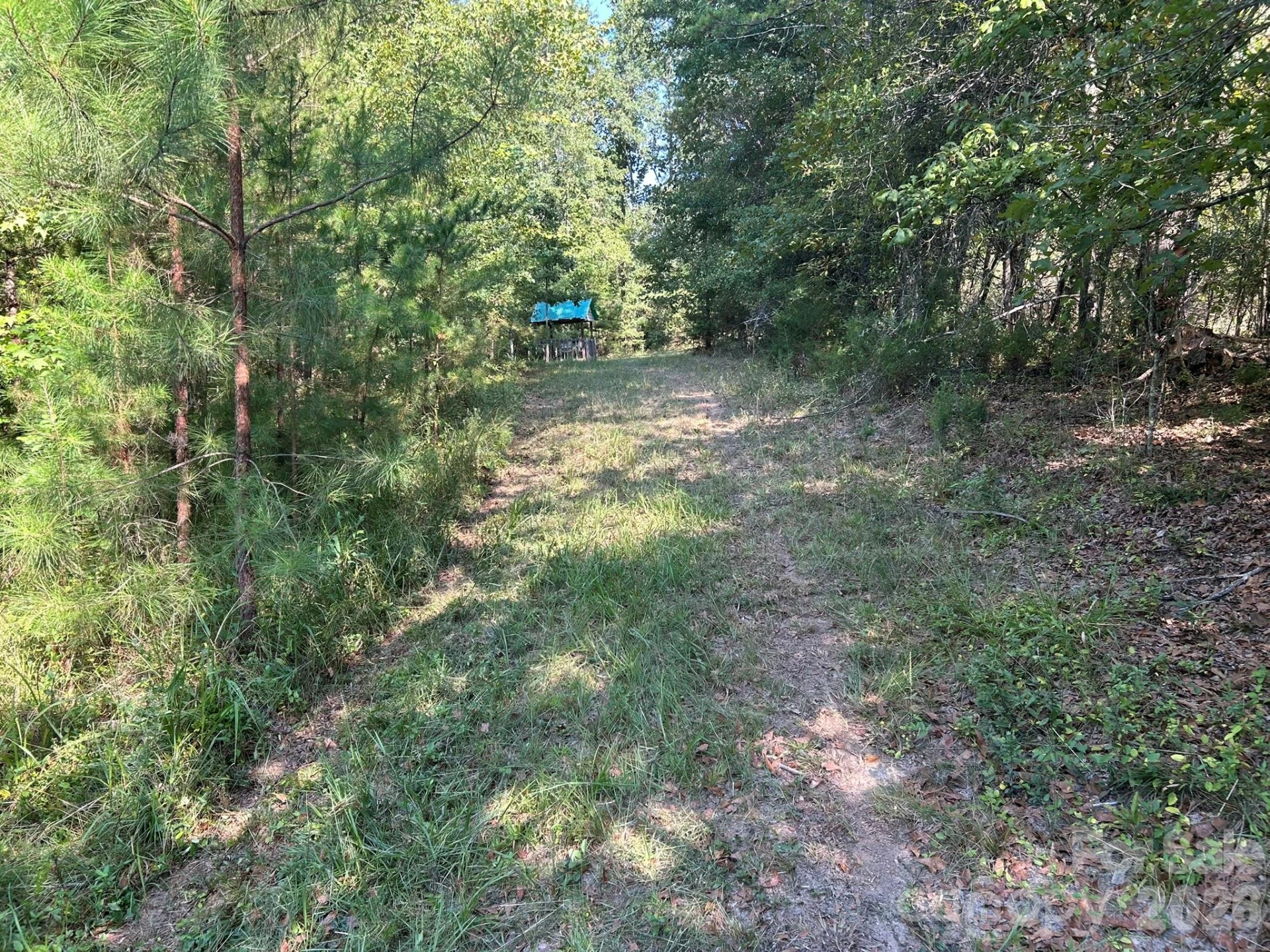00 Island Ford Road - Photo 14