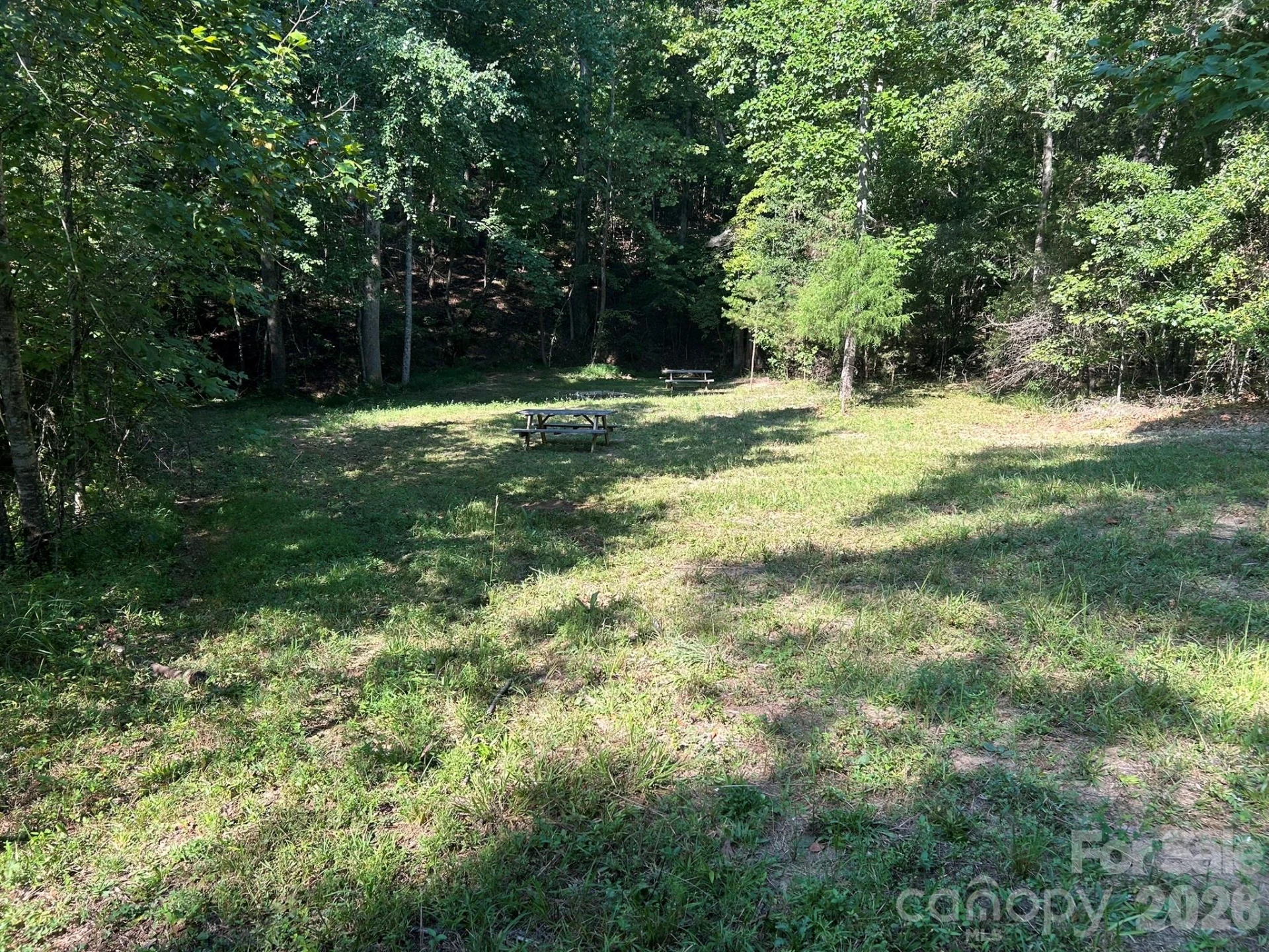 00 Island Ford Road - Photo 15
