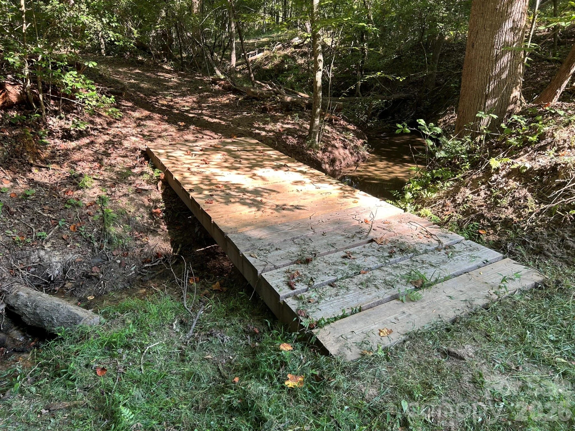 00 Island Ford Road - Photo 16