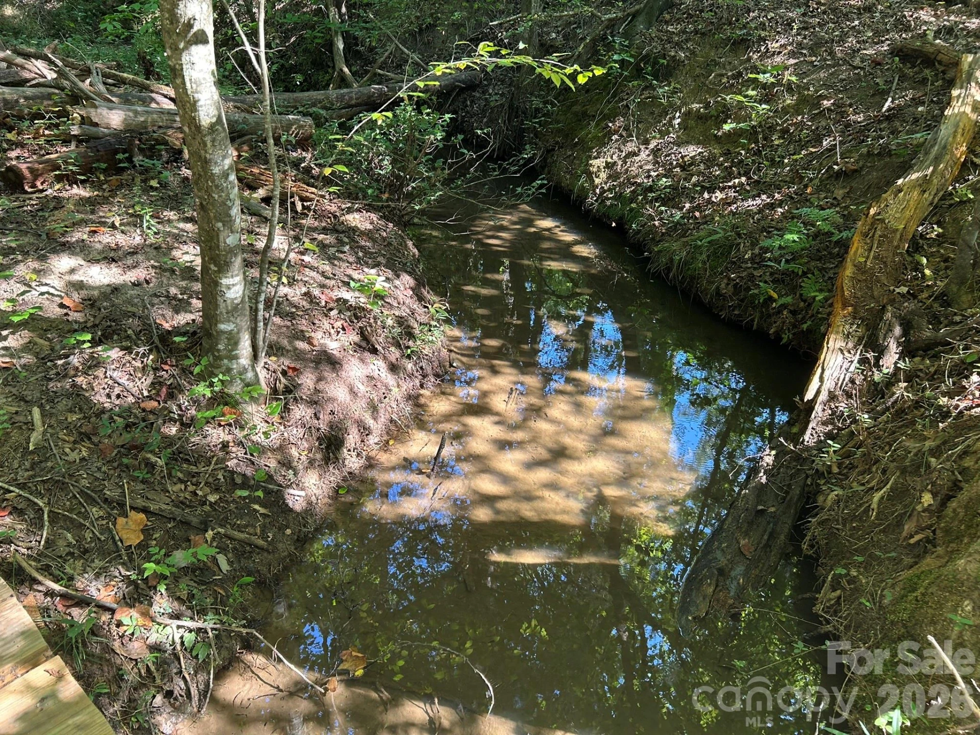 00 Island Ford Road - Photo 17