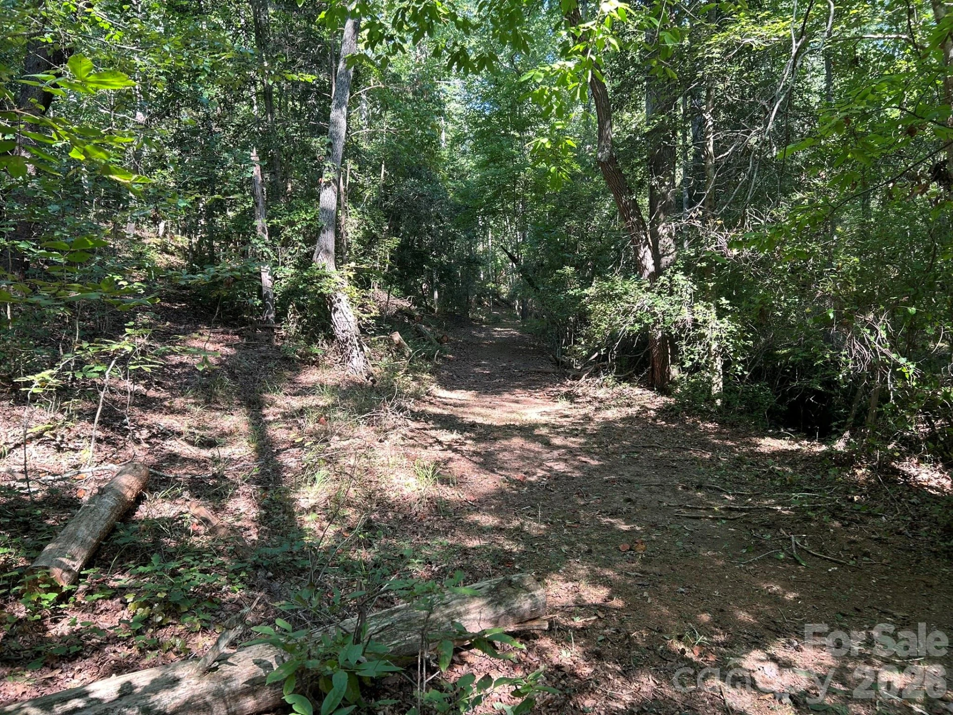 00 Island Ford Road - Photo 18