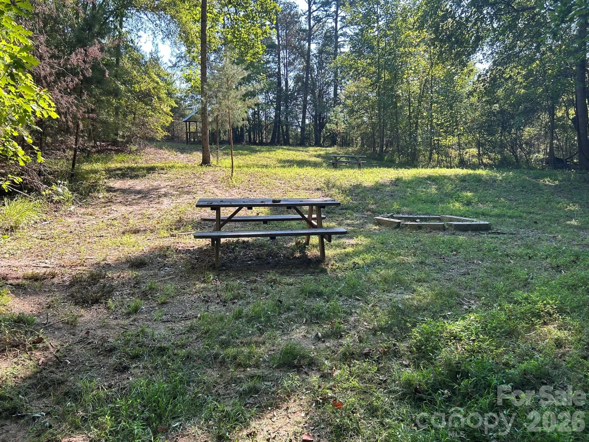 00 Island Ford Road - Photo 20